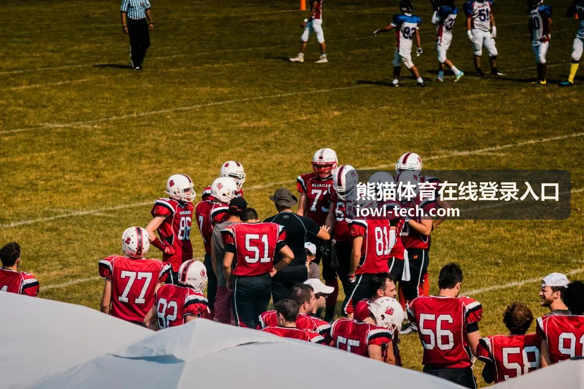 熊猫体育在线登录入口 浏览器入口地址核对